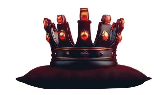 VIP Transfer Program